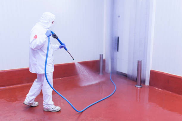 Boat and Dock Cleaning in Nashua, NH